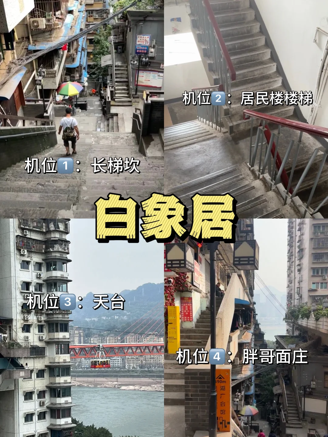 重庆主城一日游🥰轻松游玩 不绕路！