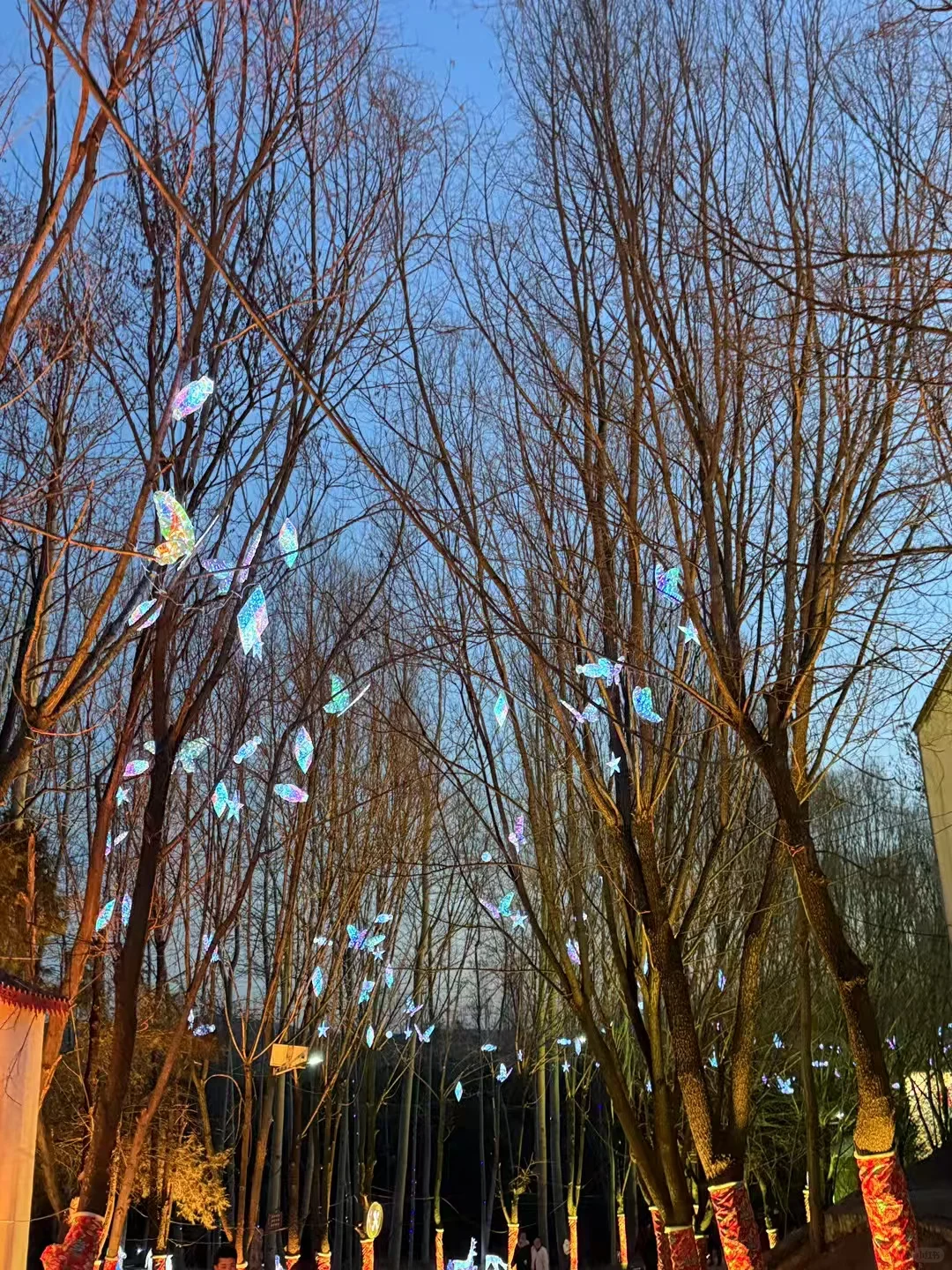 旅游景点打卡
