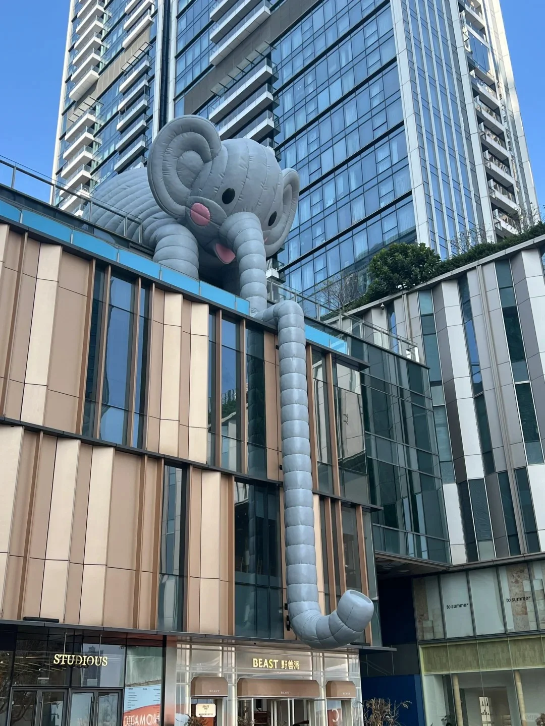 深圳必去九大景点|新手必看❗️附攻略