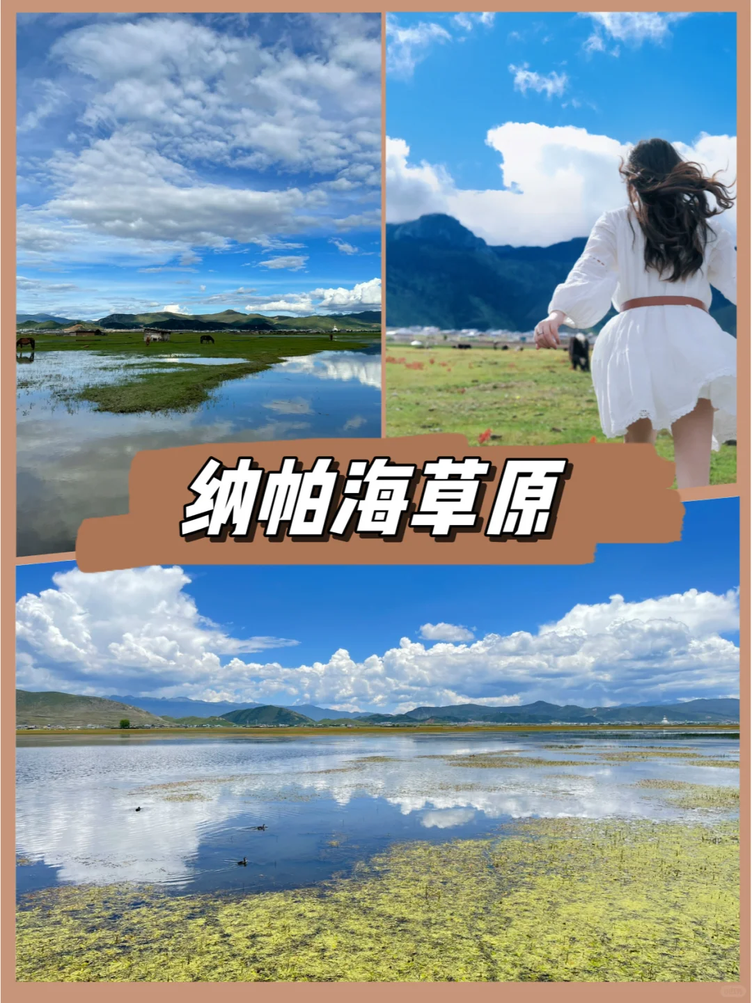 👀云南攻略🛩云南旅游小团纯玩