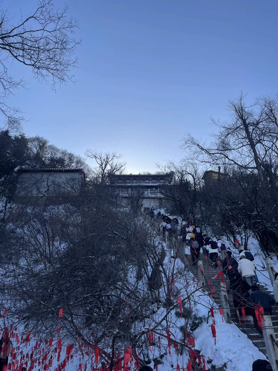 百山计划（17/100）河南·老君山
