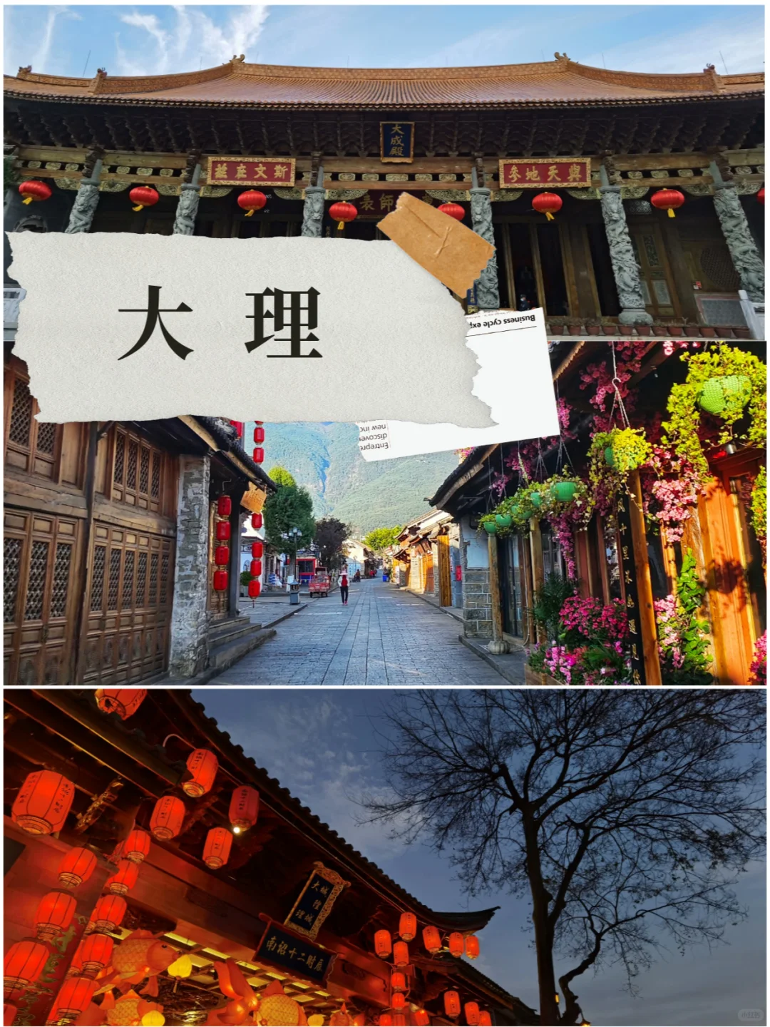 🌸云南小团行✈️云南大理旅游攻略
