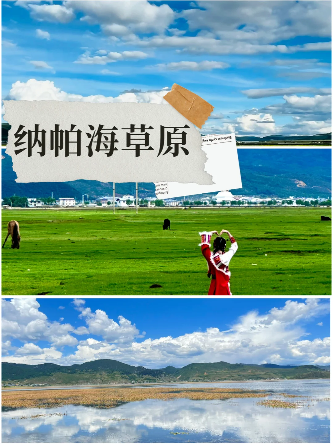 🌸云南小团行✈️云南大理旅游攻略
