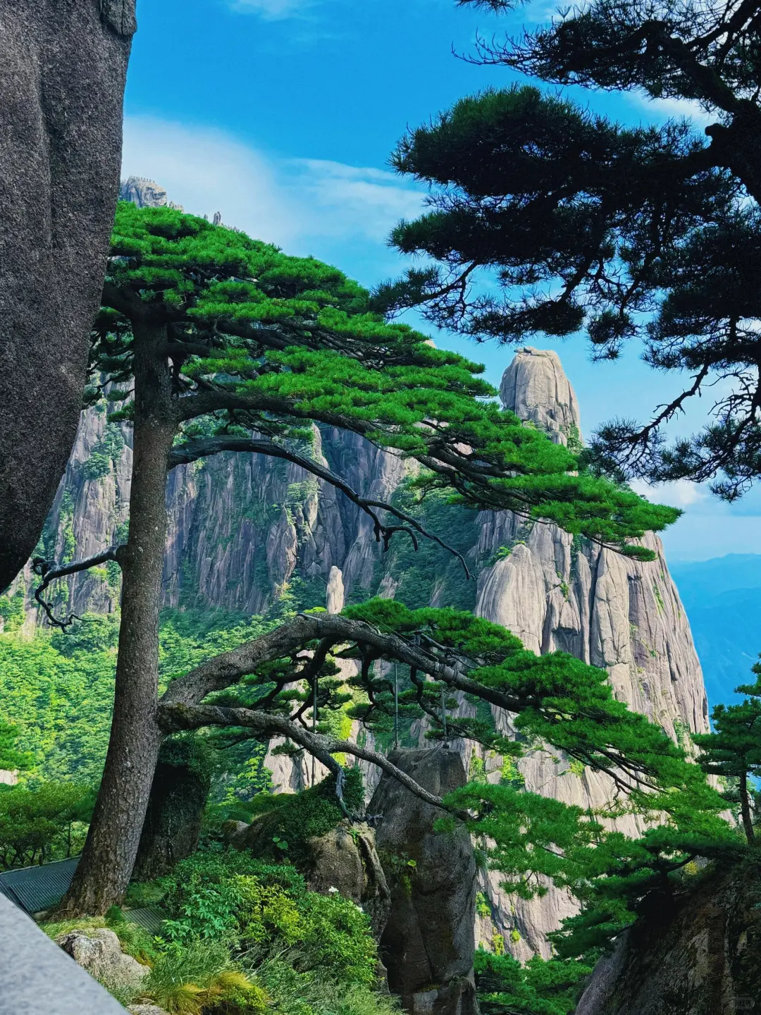 🎉刚从黄山回来，避雷秘籍大公开👇