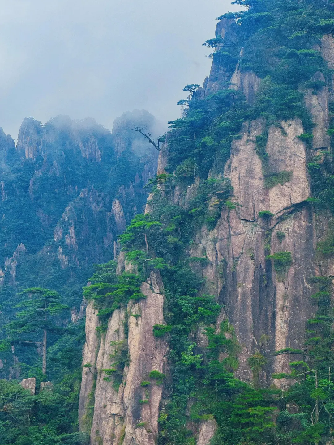 🎉刚从黄山回来，避雷秘籍大公开👇