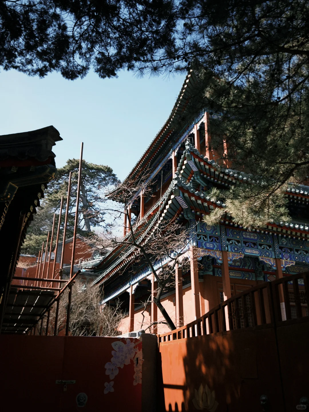 去戒台寺还愿➕吃斋饭了