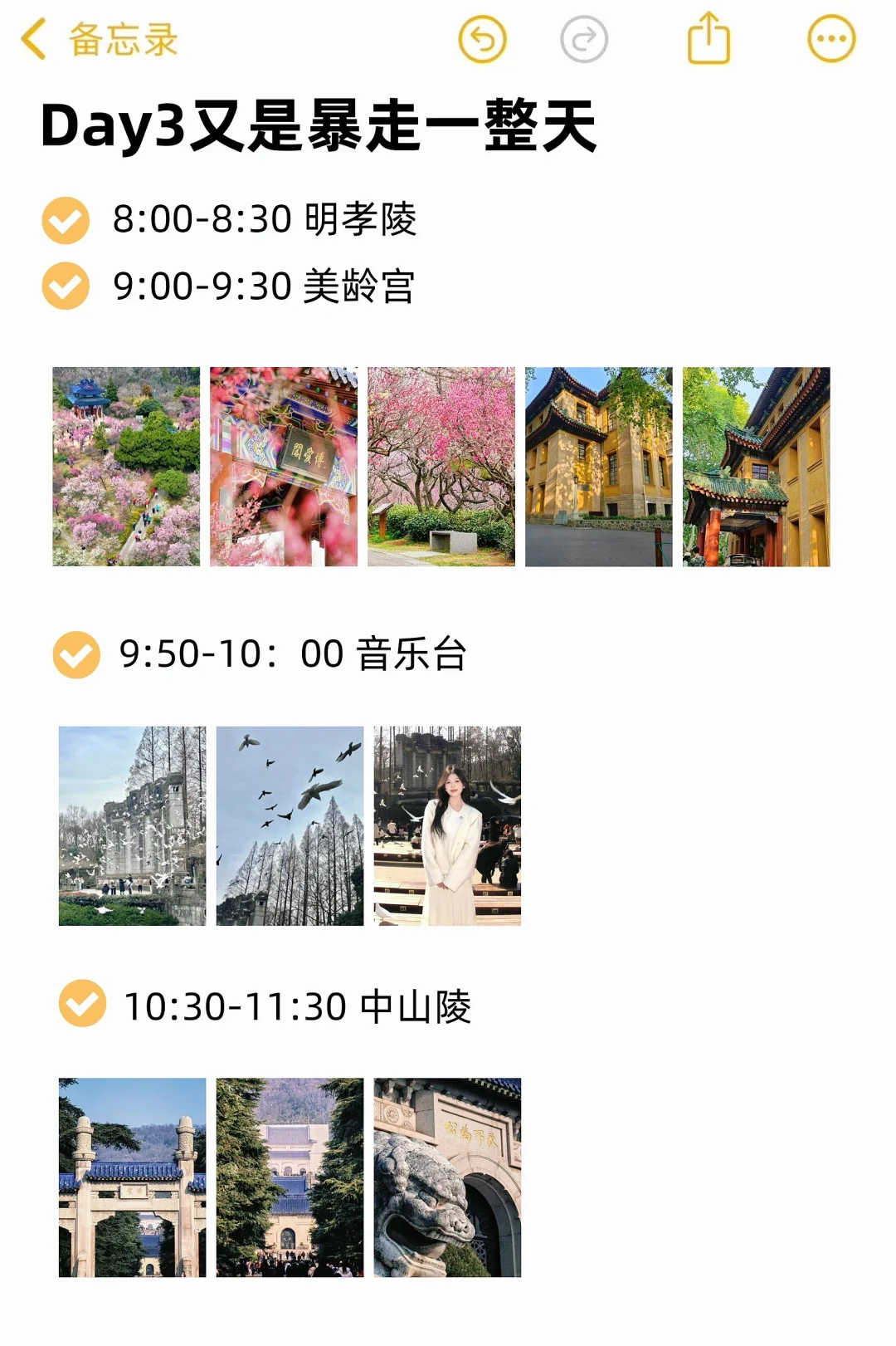 对自己的南京拍照攻略满意到睡不着！附路线