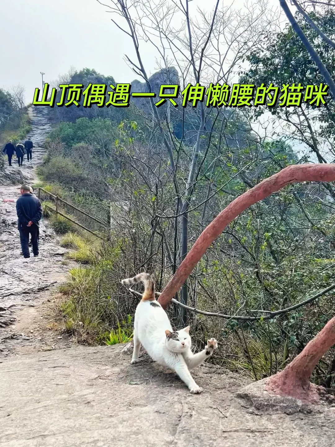 南京1小时高铁直达｜这个被低估的宝藏景点