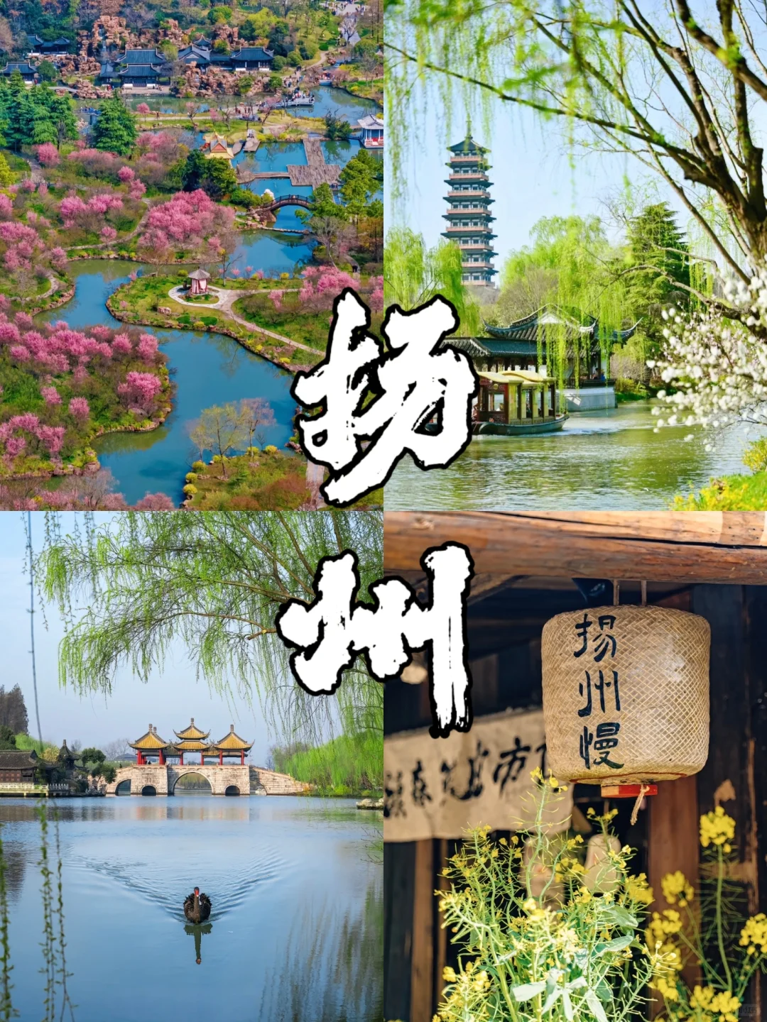 烟花三月下扬州！3月扬州两天一夜冲起来！