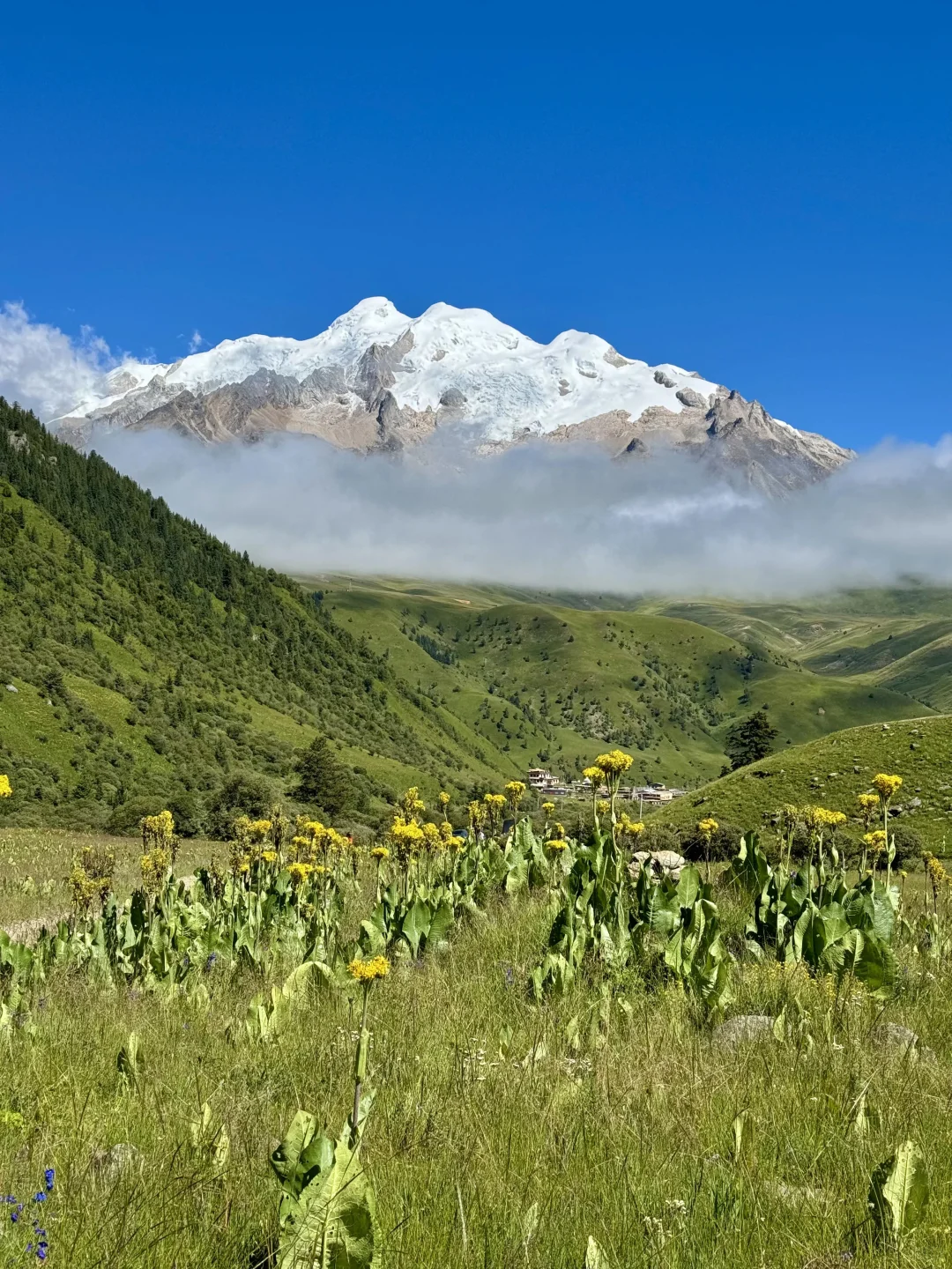 川西不止一个四姑娘山