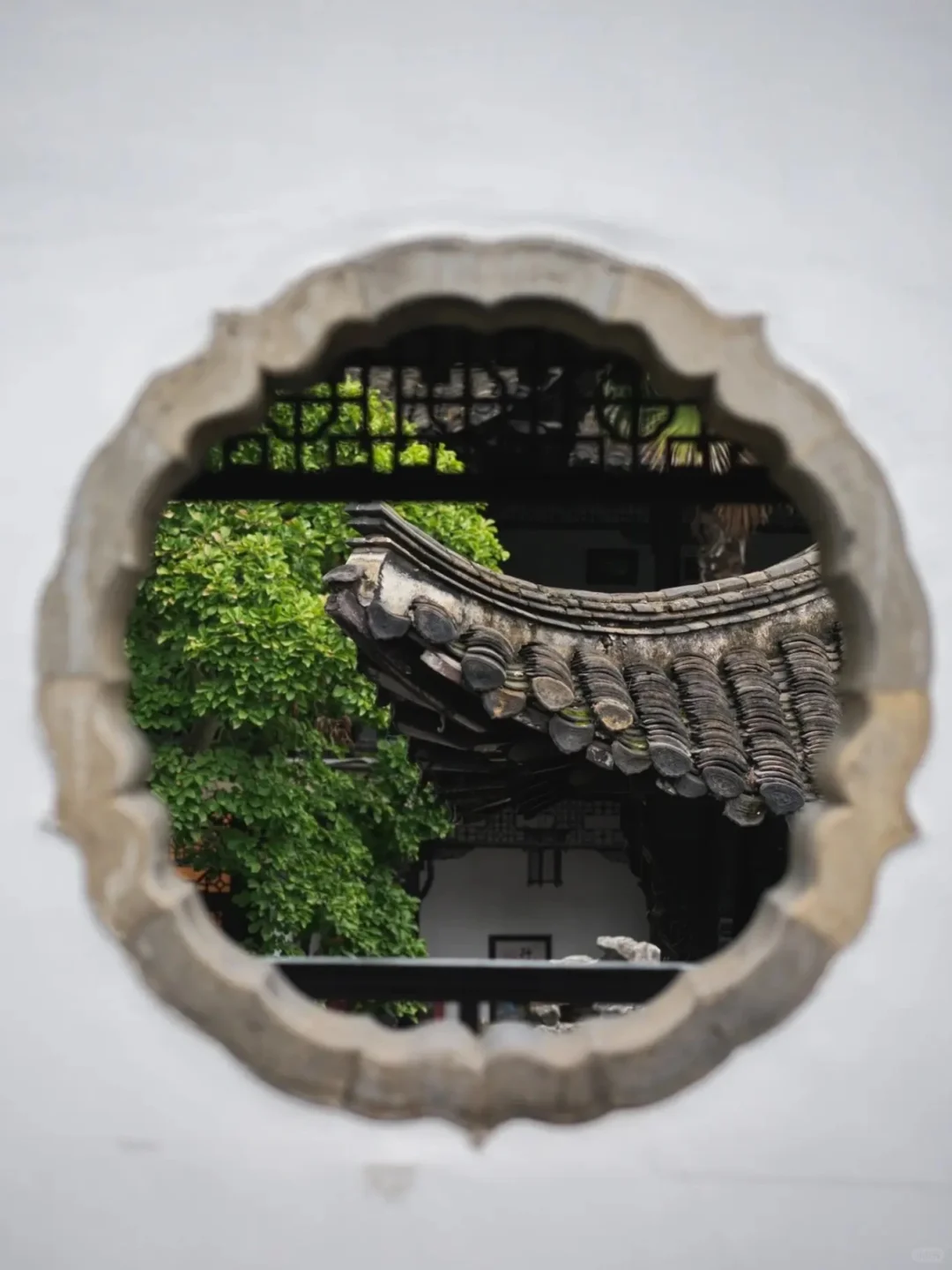 第一次带爸妈去扬州，去看烟雨江南