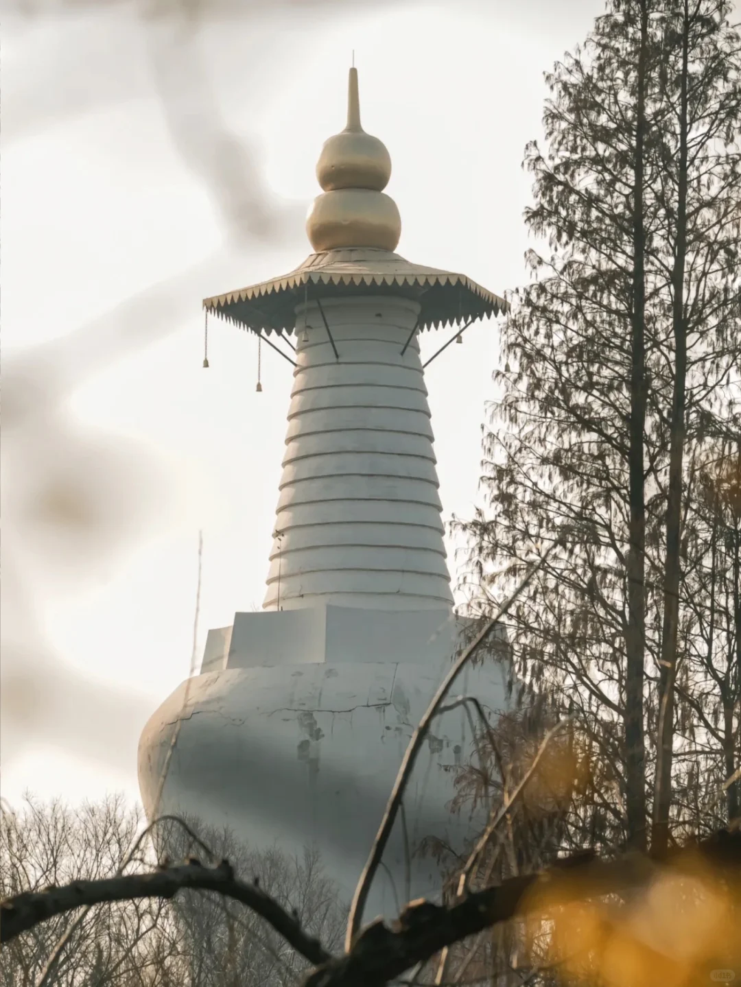 第一次带爸妈去扬州，去看烟雨江南
