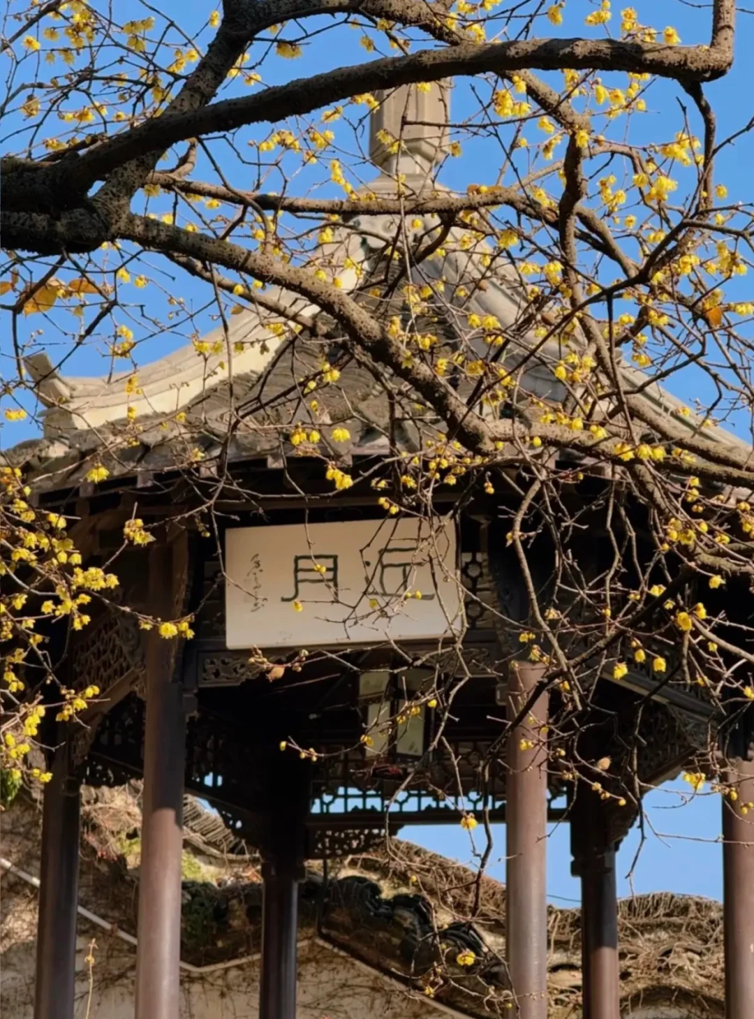 第一次带爸妈去扬州，去看烟雨江南