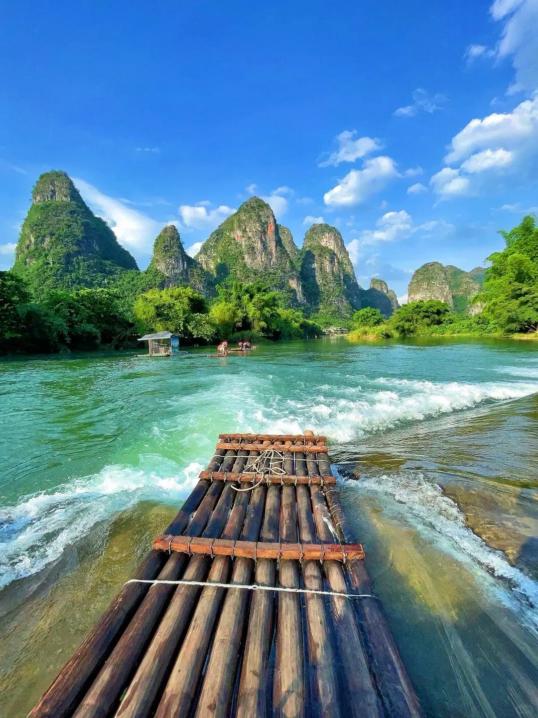 桂林山水甲天下 | 又到了撒欢的季节啦🌳