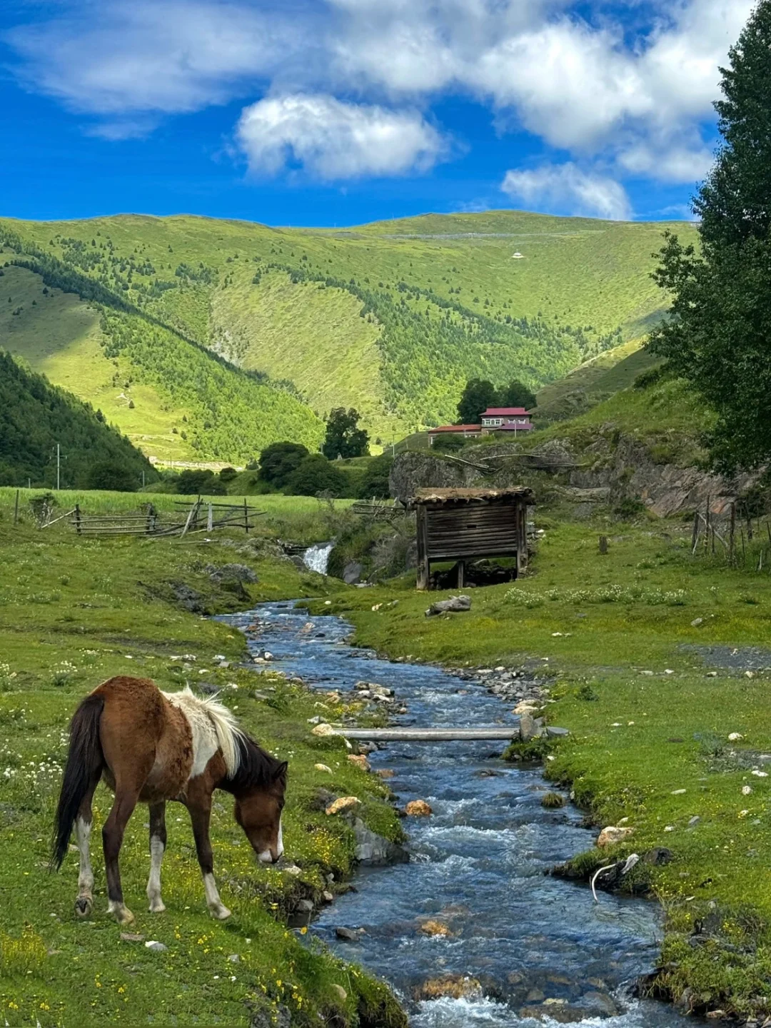 DeepSeek推荐，五一清明反向旅游的5个地方