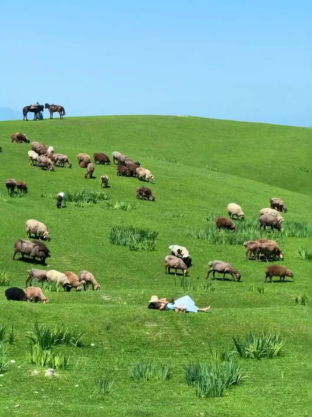 反向旅游｜5月就去新疆伊犁，别等6月人挤人
