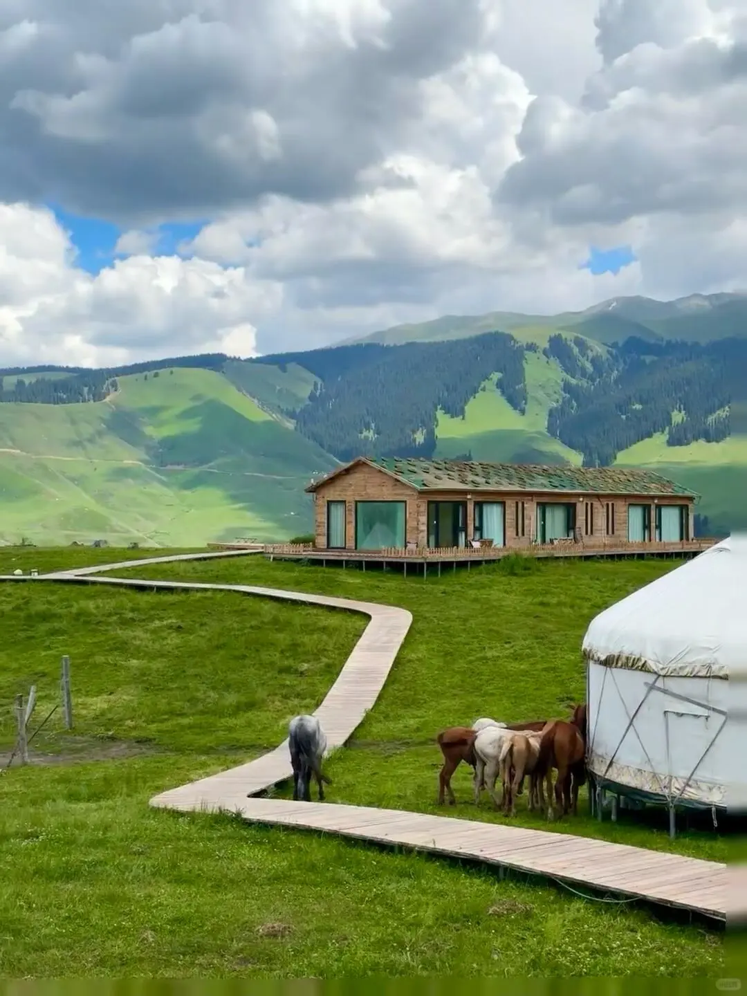 反向旅游｜5月就去新疆伊犁，别等6月人挤人