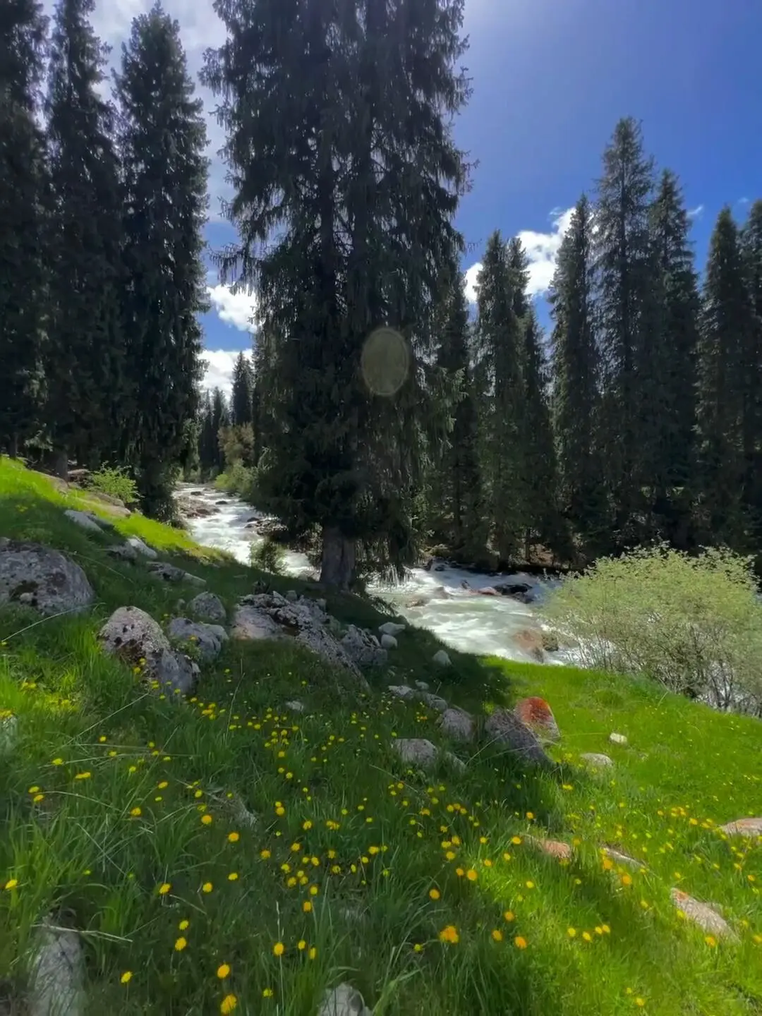反向旅游｜5月就去新疆伊犁，别等6月人挤人