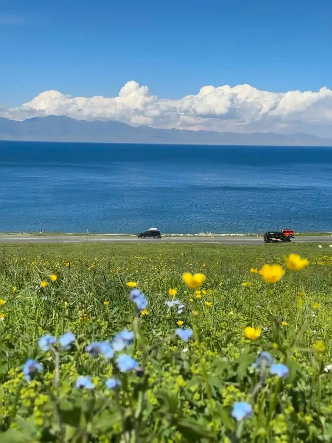 反向旅游｜5月就去新疆伊犁，别等6月人挤人