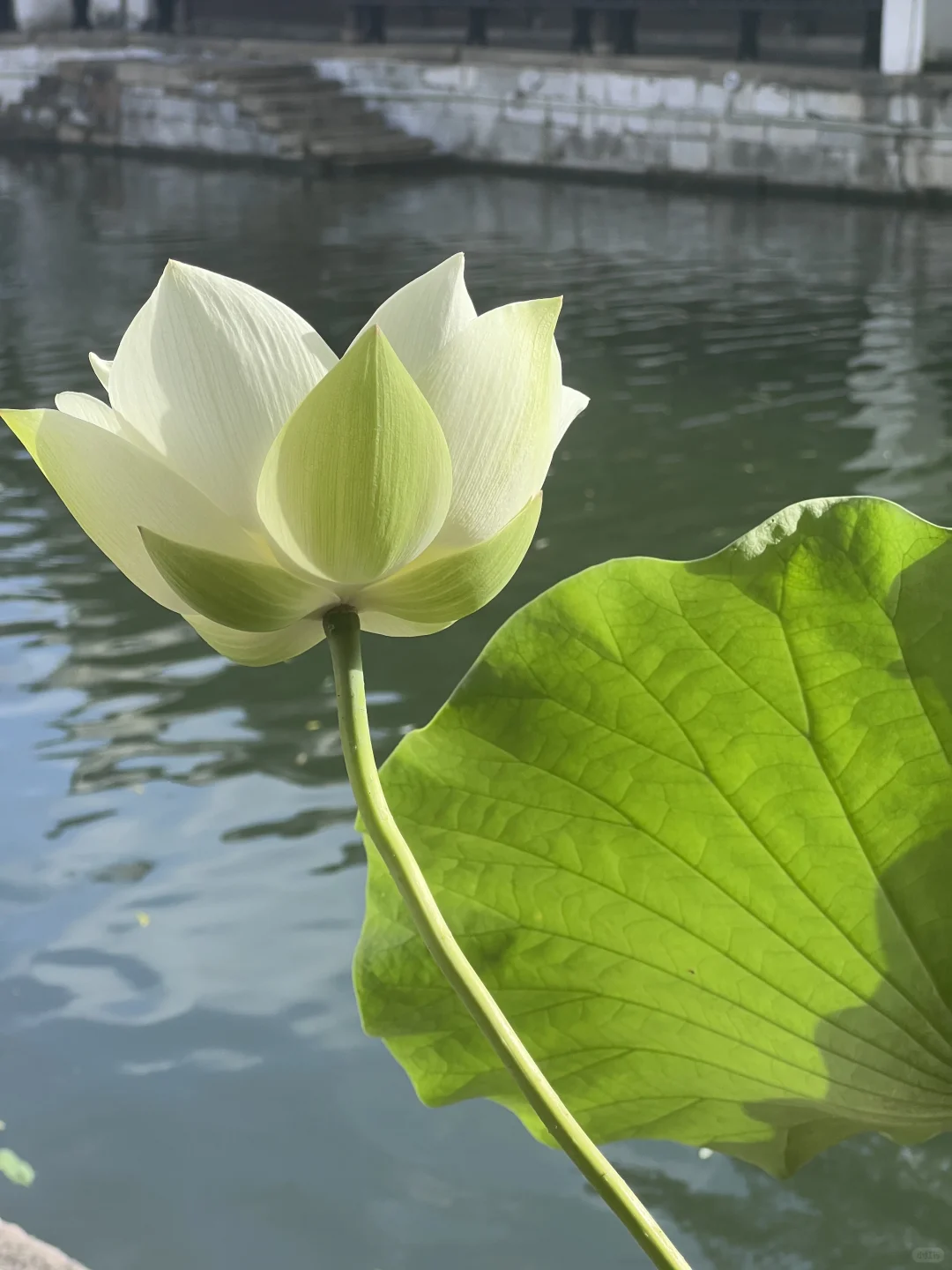 江南啊