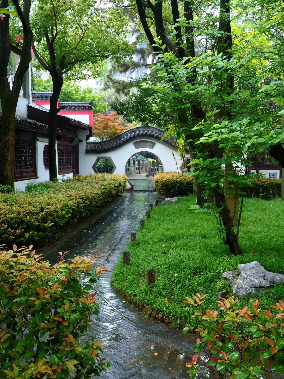 南昌春季限定景点 杏花楼🪷游玩拍照📸攻略