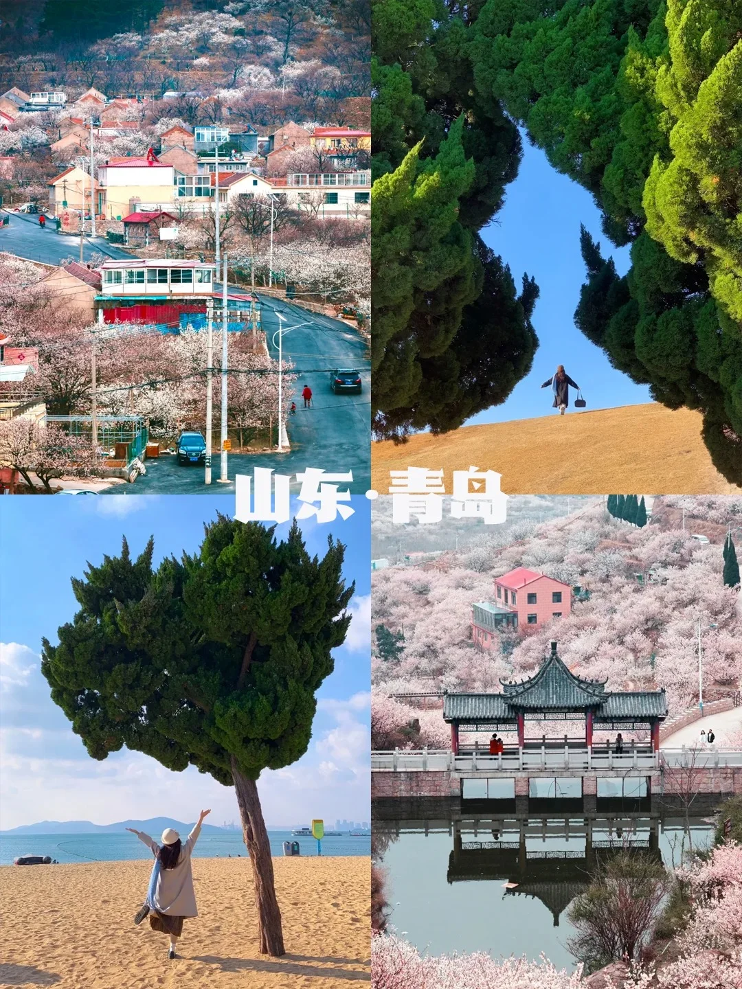 不愧是我！清明最佳旅游城市推荐✅