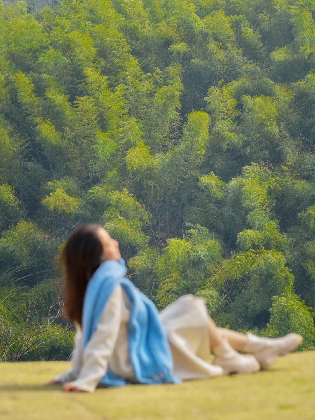 今年为止，我最喜欢的旅游城市出现了…