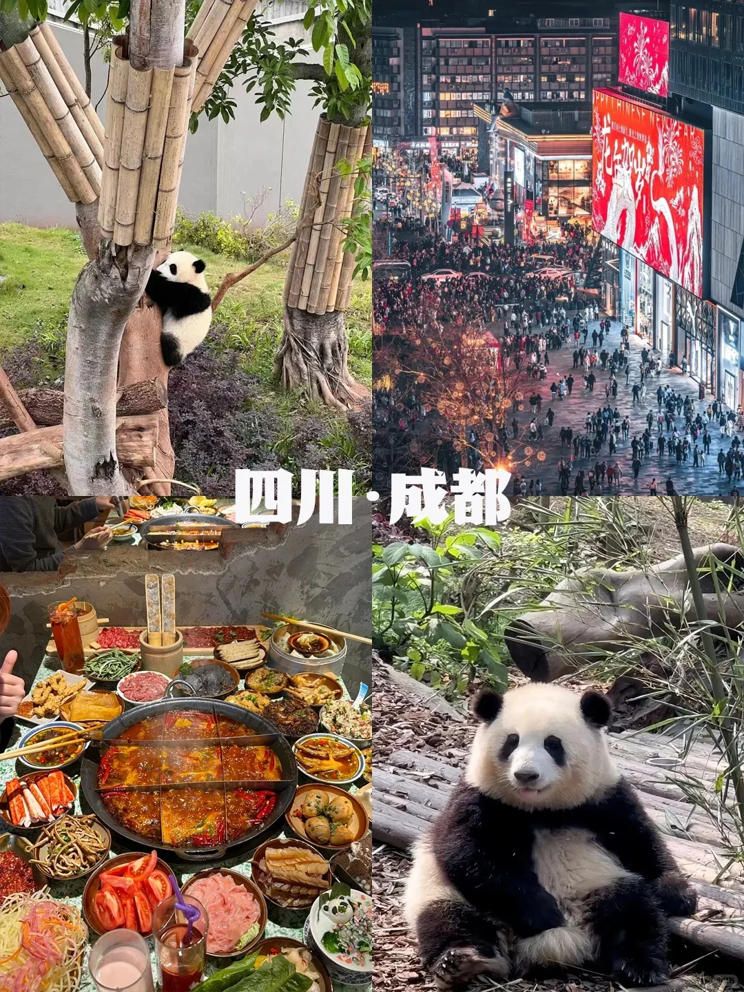 不愧是我！清明最佳旅游城市推荐✅