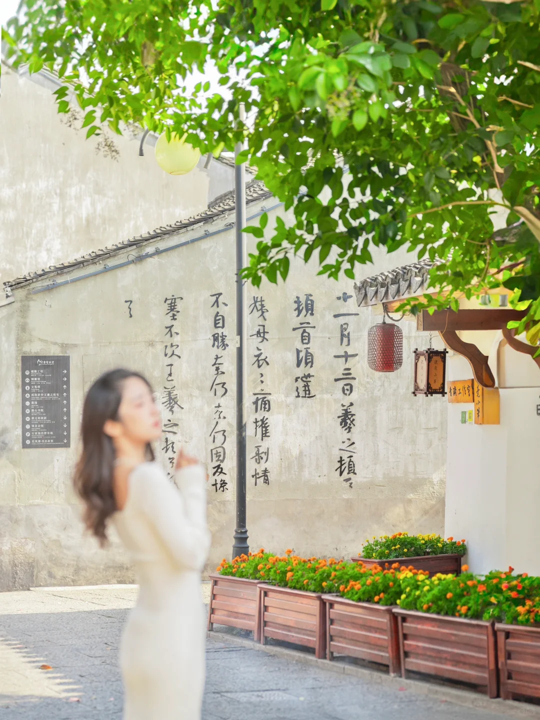 今年为止，我最喜欢的旅游城市出现了…