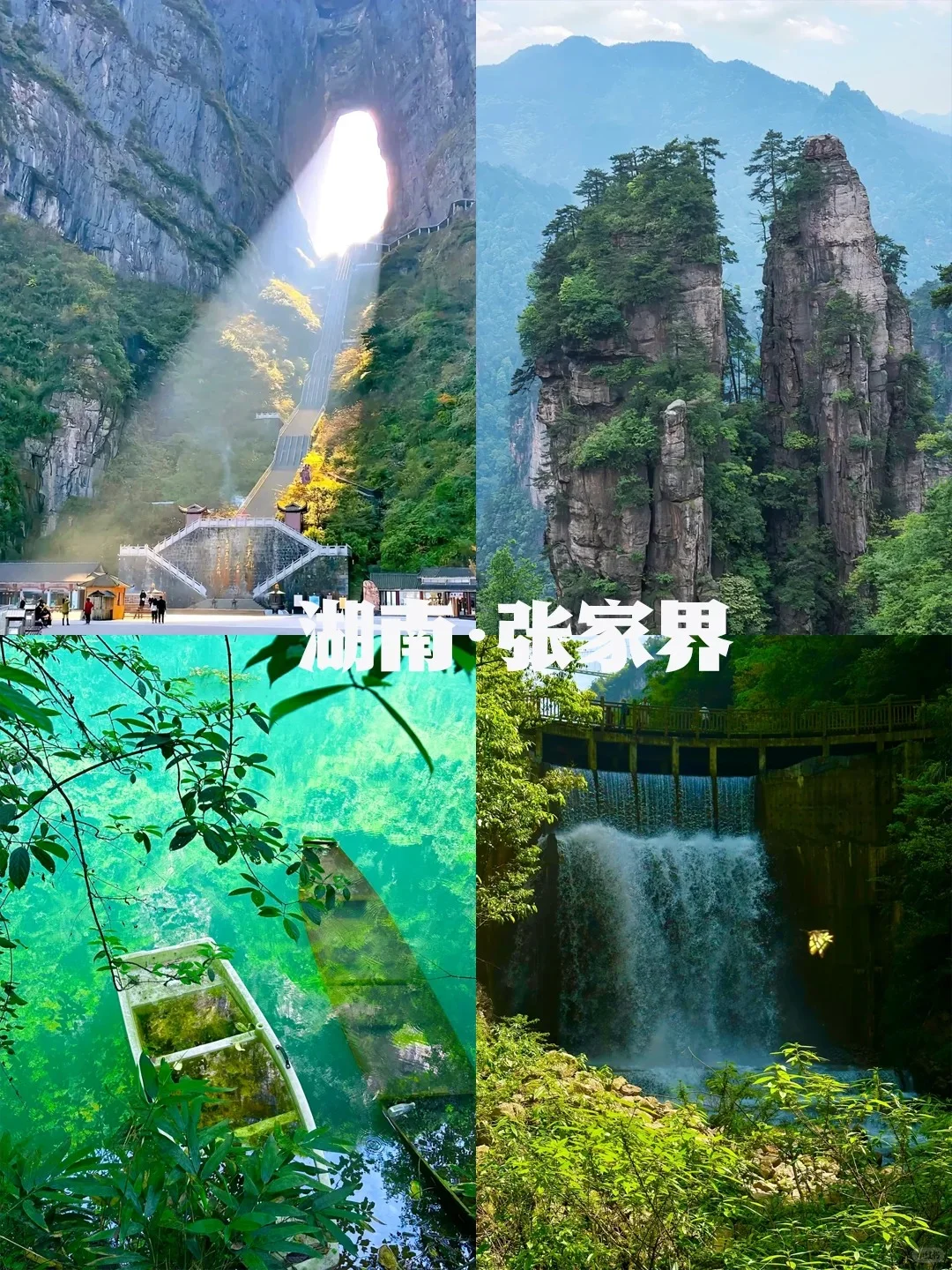 不愧是我！清明最佳旅游城市推荐✅