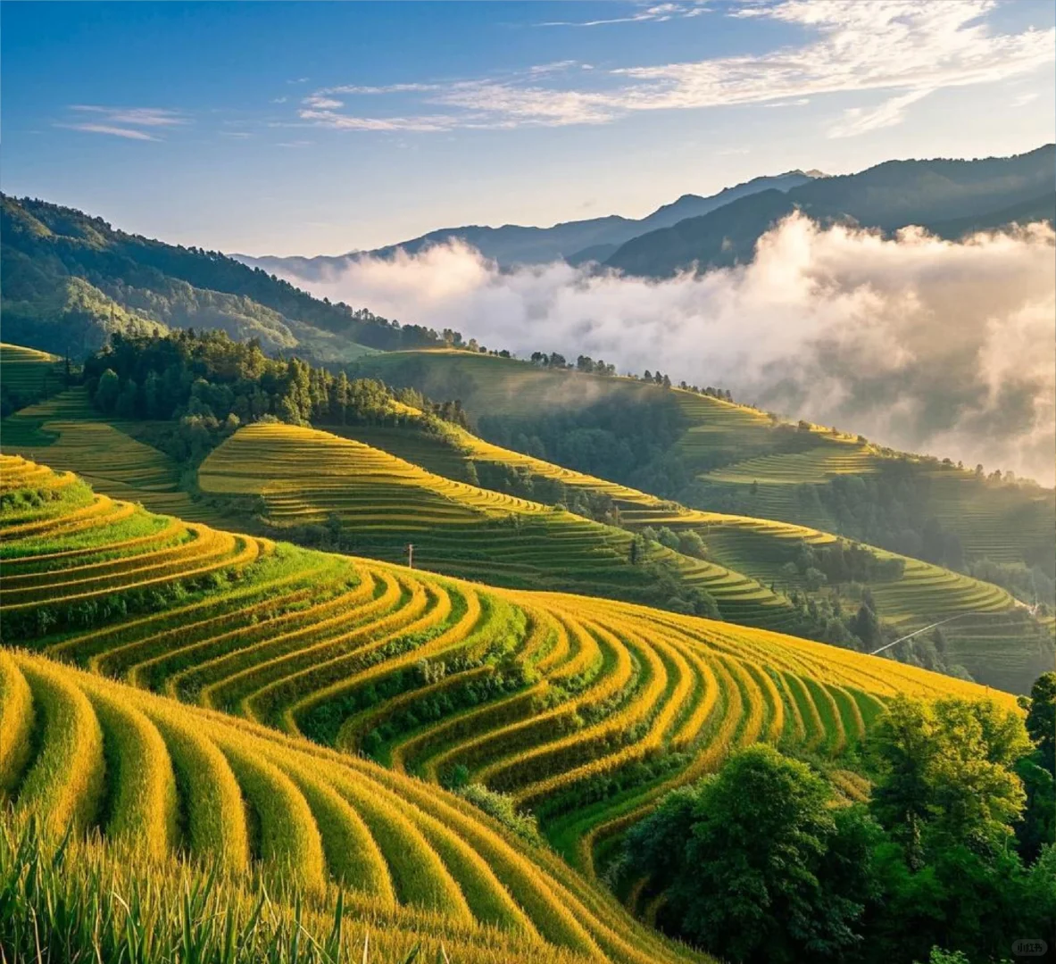 救命！广西山水才是隐藏的神仙旅行地