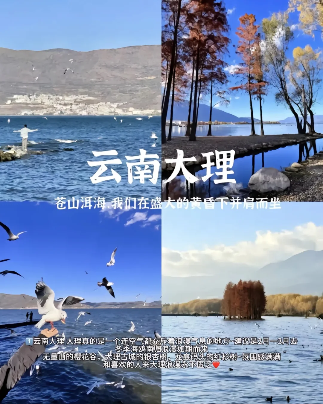 🌸9个适合情侣旅游的城市推荐🌸