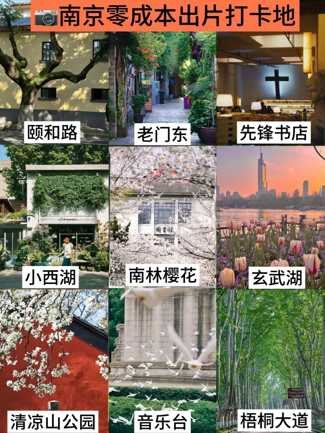 3.19南京现状。。我踩过的坑求大家不要再犯