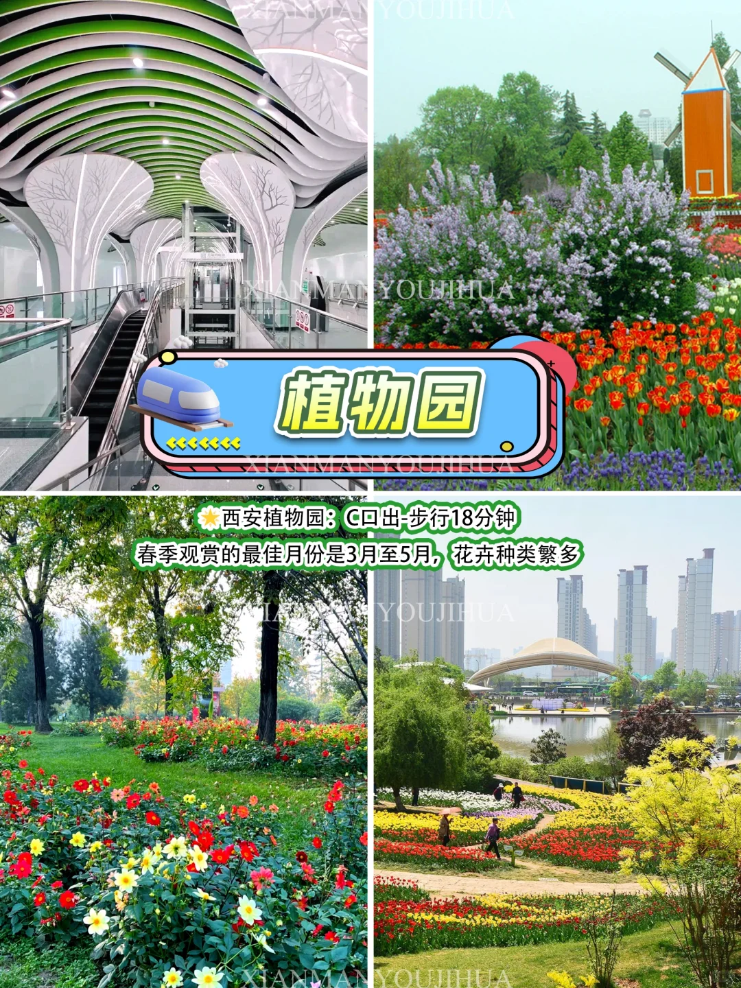 牛马专线citywalk🚇8号线直达 春和景明