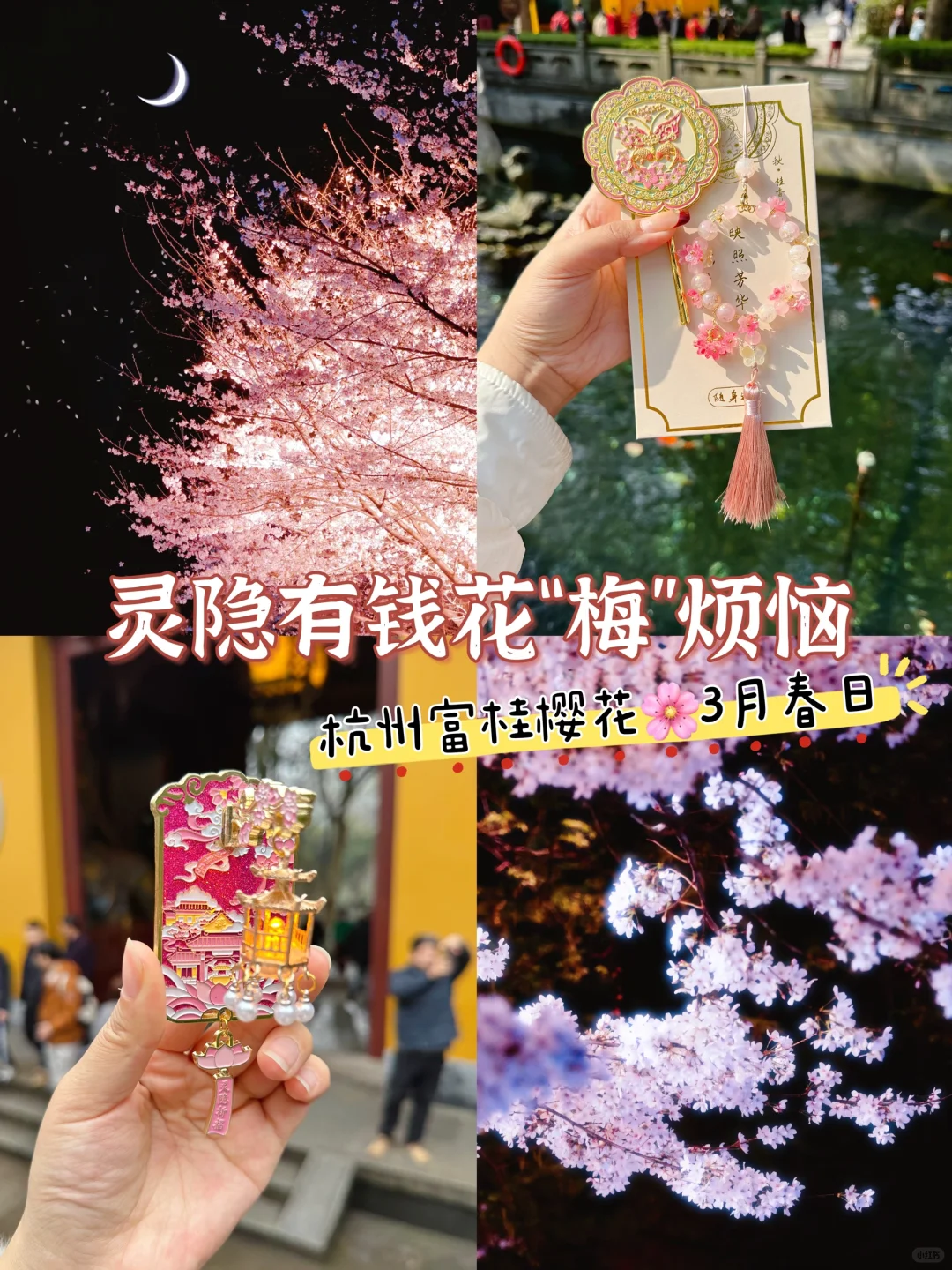 灵隐寺的樱花开了🌸杭州的3月美到封神