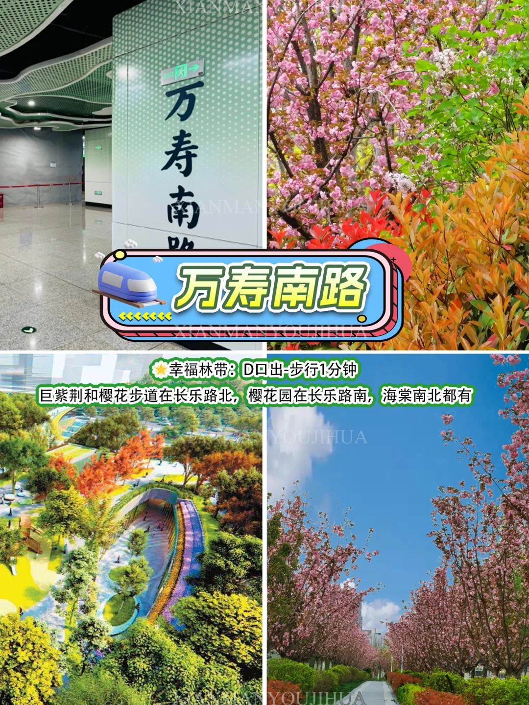 牛马专线citywalk🚇8号线直达 春和景明