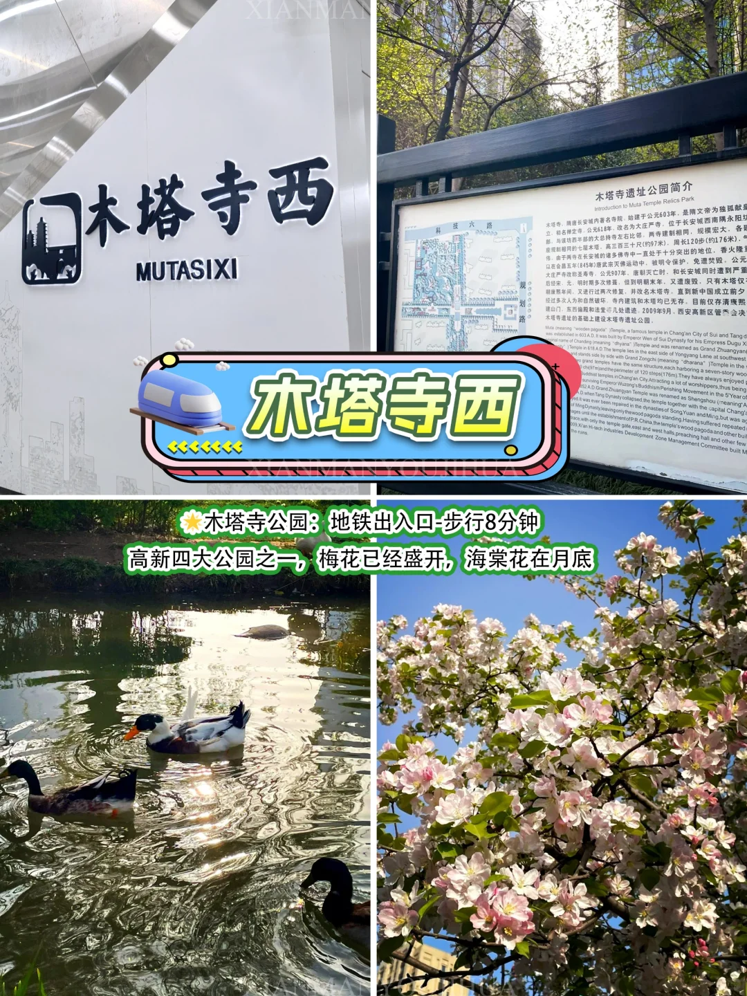 牛马专线citywalk🚇8号线直达 春和景明