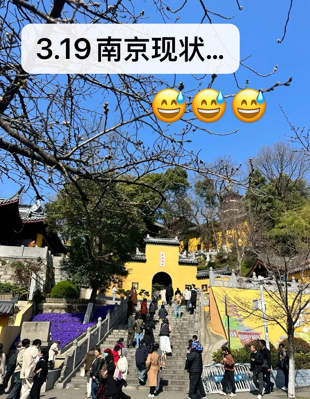 3.19南京现状。。我踩过的坑求大家不要再犯