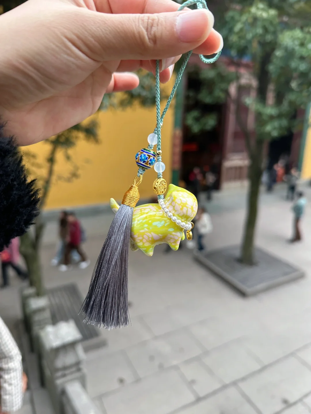 灵隐寺的樱花开了🌸杭州的3月美到封神