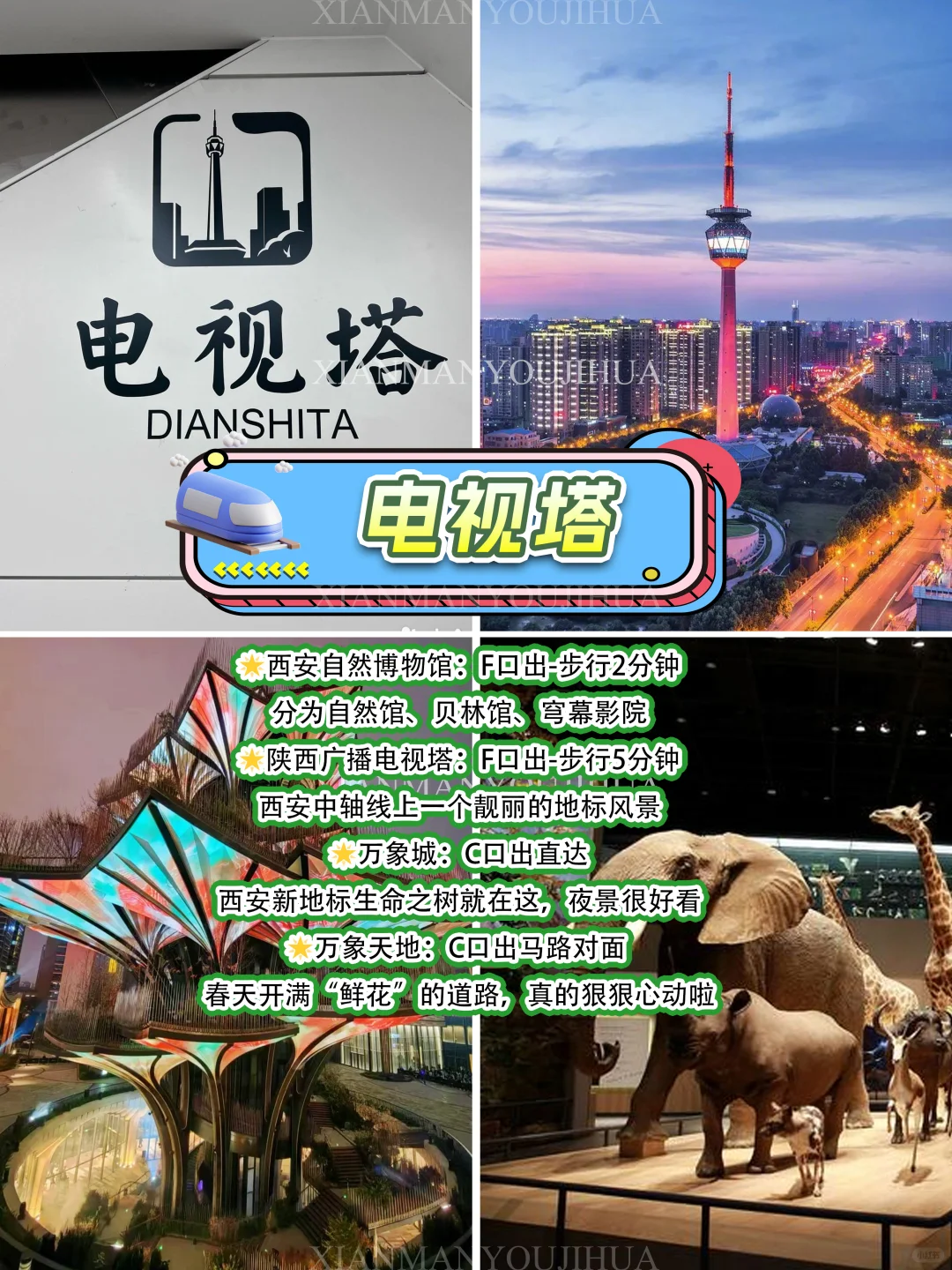 牛马专线citywalk🚇8号线直达 春和景明