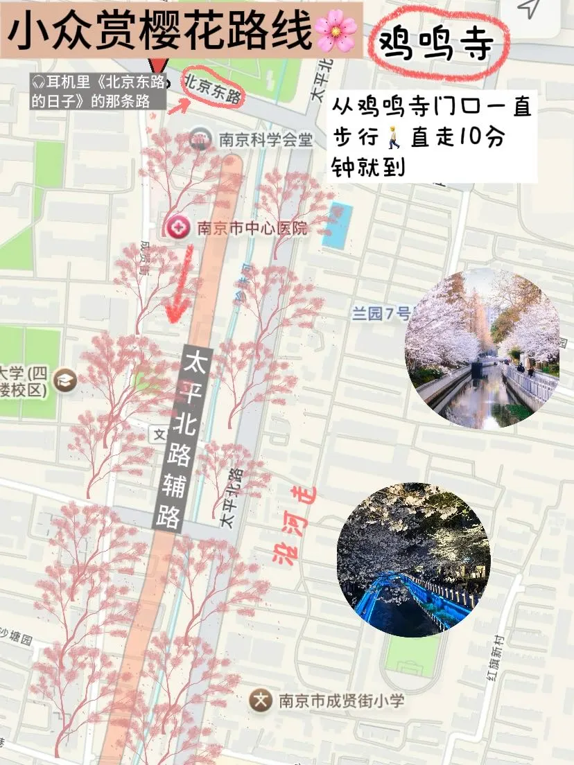 3.19南京现状。。我踩过的坑求大家不要再犯