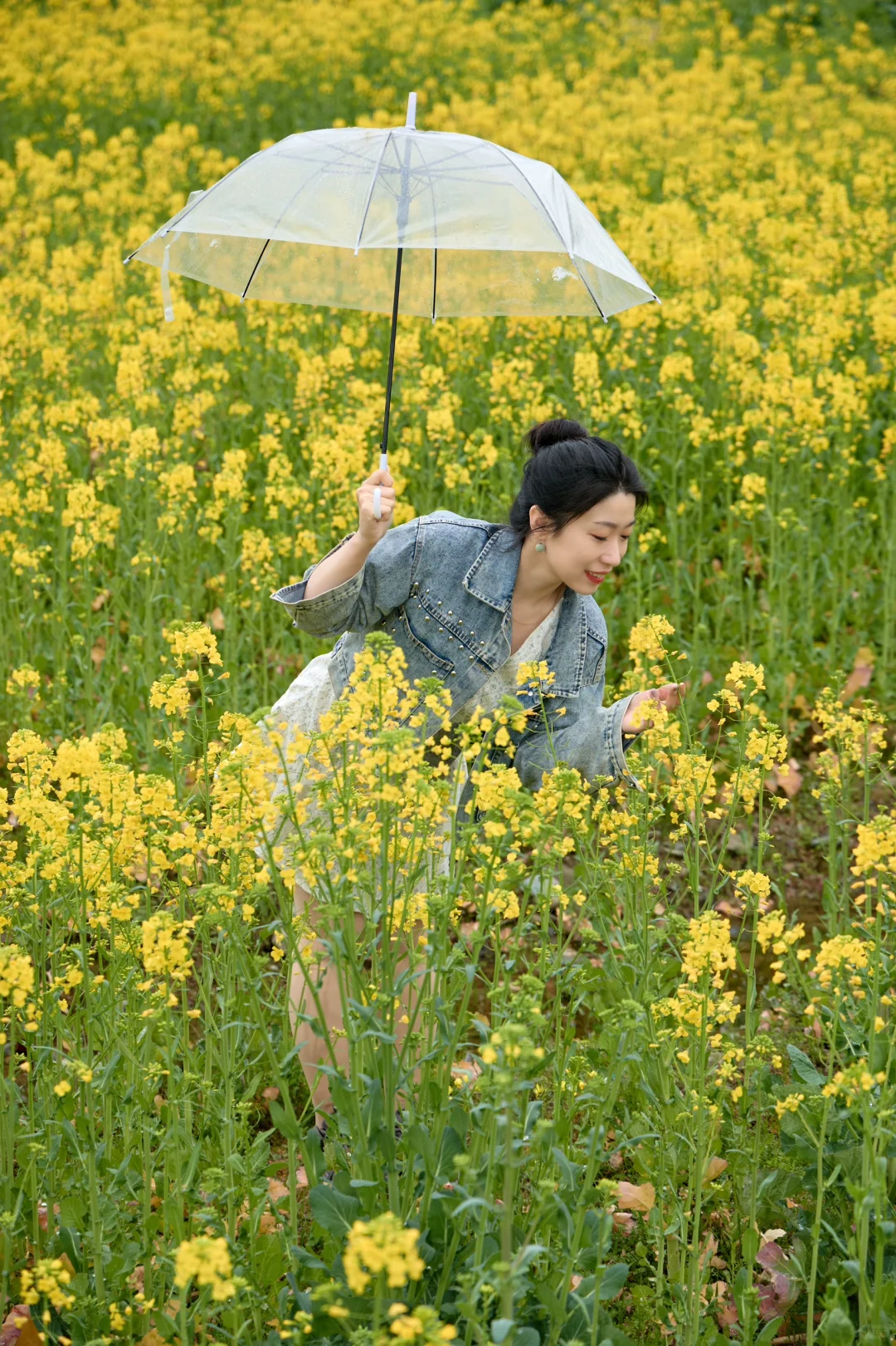 在宏村！！油菜花不用再去婺源啦！！