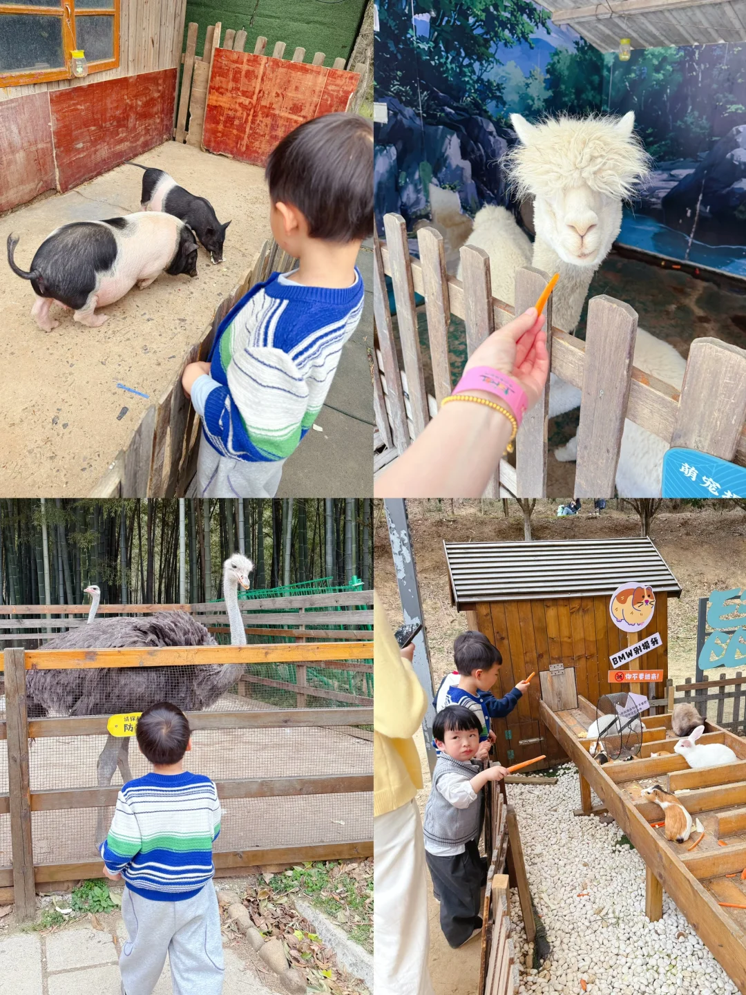 南京周边📍亲子游就要去这种一站式游玩的地