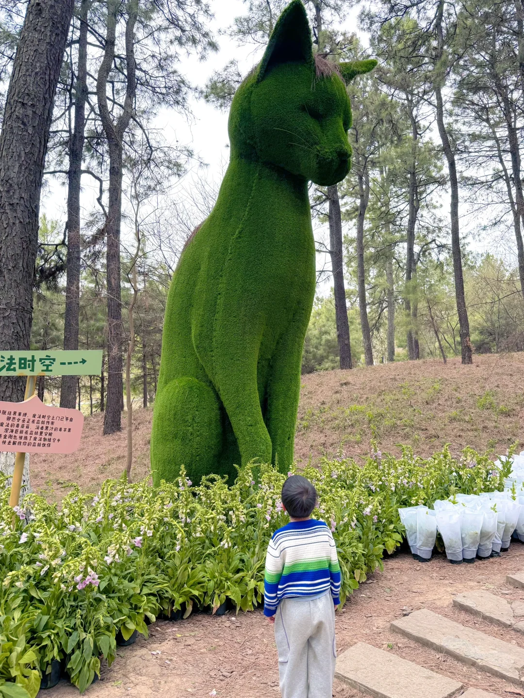 南京周边📍亲子游就要去这种一站式游玩的地