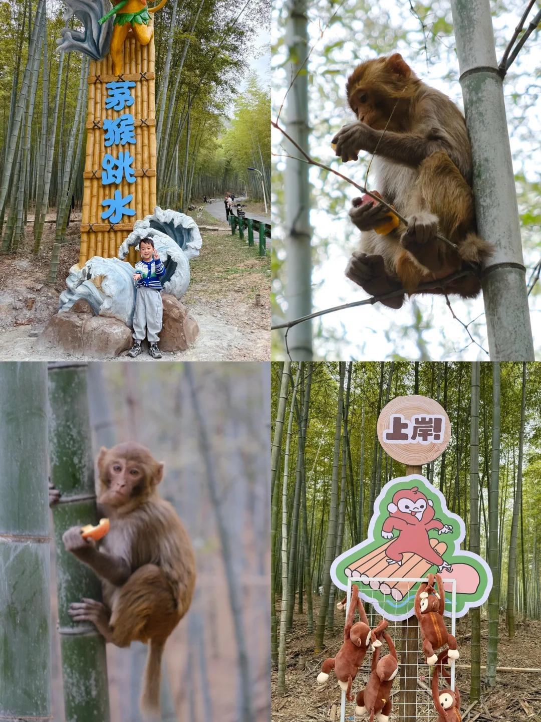 南京周边📍亲子游就要去这种一站式游玩的地