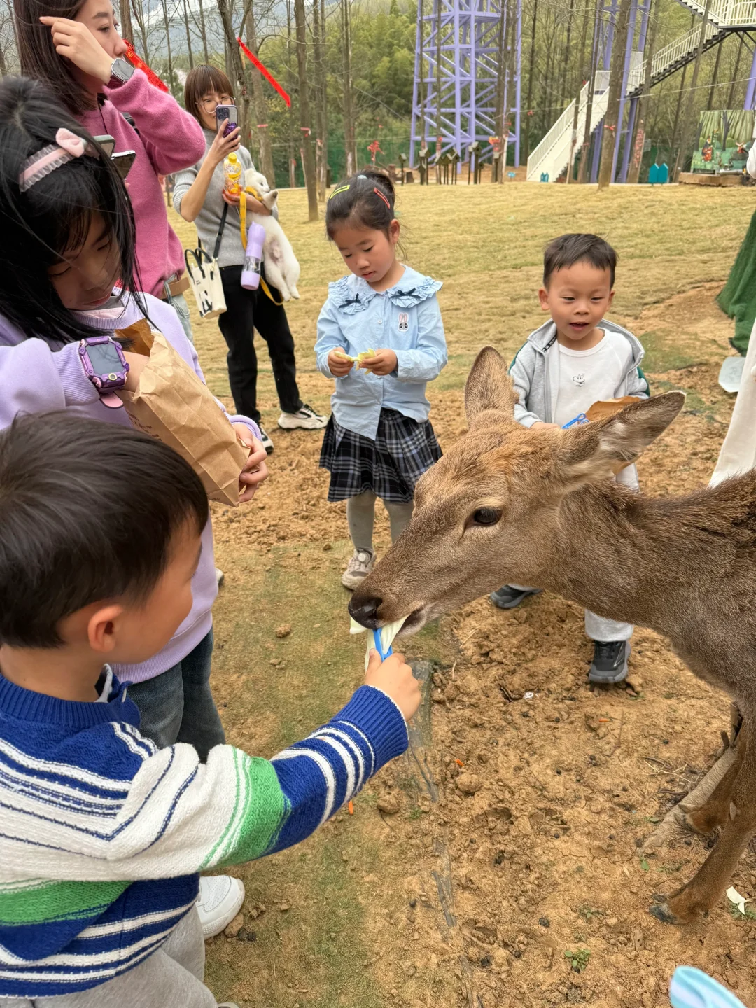 南京周边📍亲子游就要去这种一站式游玩的地