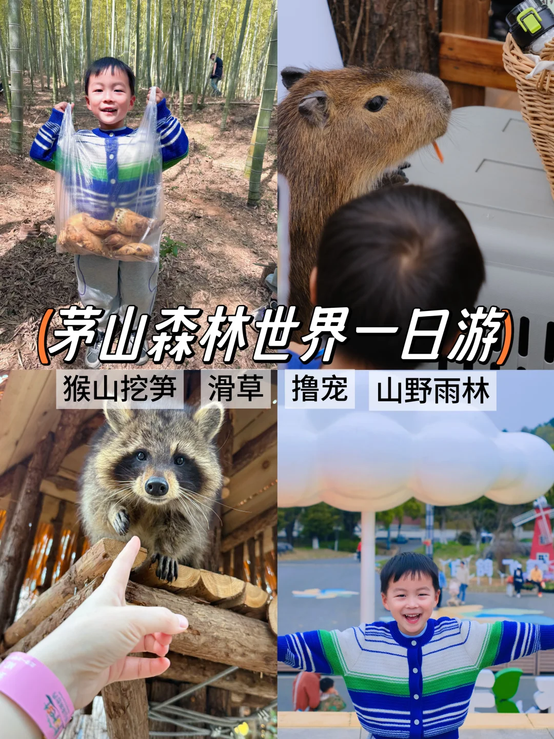 南京周边📍亲子游就要去这种一站式游玩的地