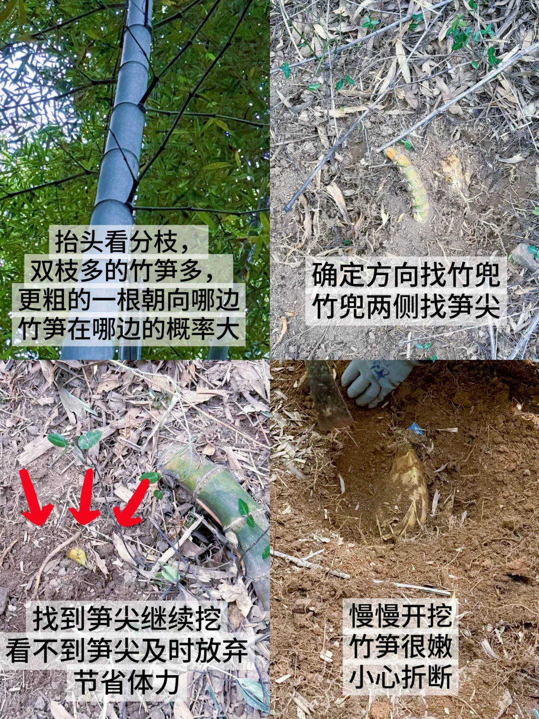 南京周边📍亲子游就要去这种一站式游玩的地