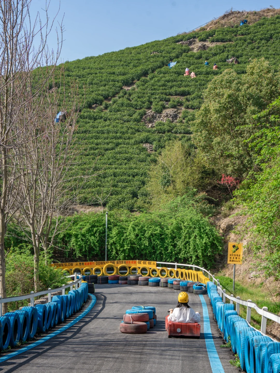 🌸千亩桃花坠入仙境｜城山沟乐园嗨翻天