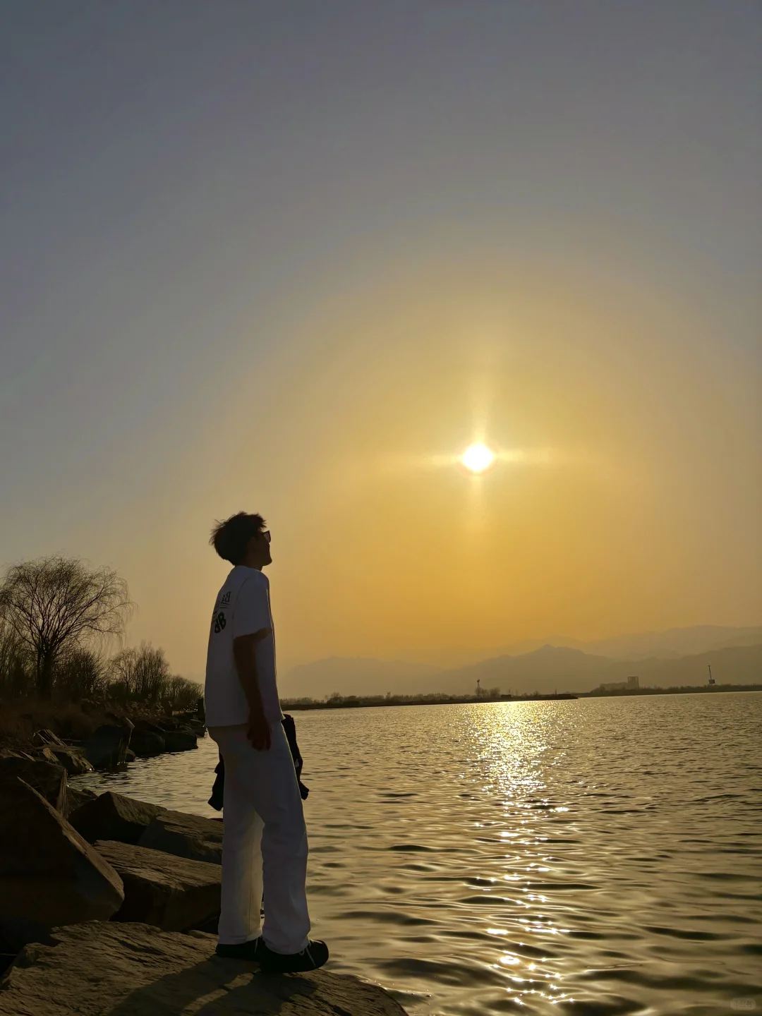宁夏的海